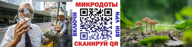 Купить где  Глазов  Галлюциногенные грибы прущие грибы 